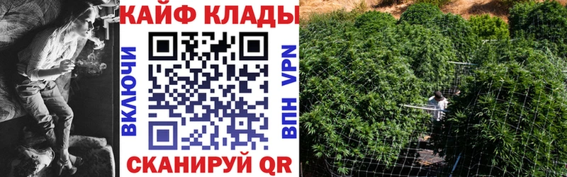 Виды наркотиков купить Чадан Гашиш  Амфетамин  Меф  Alpha-PVP 