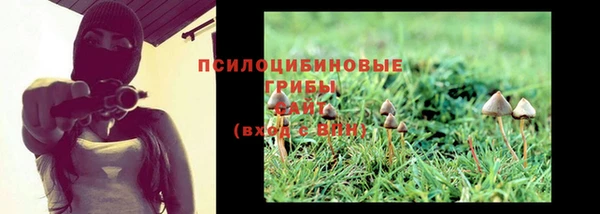 таблы Лабытнанги