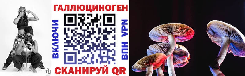 купить наркотик  Чадан  Псилоцибиновые грибы прущие грибы 